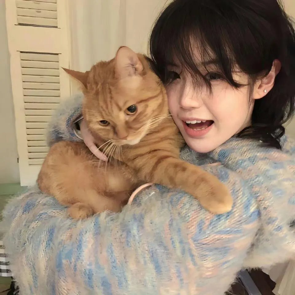 中华英雄之中华傲诀国语